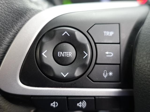 ロッキープレミアムG(石川県)の中古車