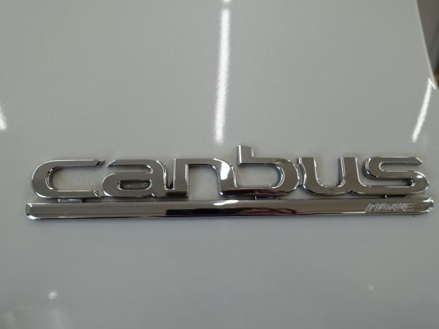 ムーヴキャンバスＧメイクアップＶＳ　ＳＡIII（石川県）の中古車