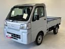 ＡＭ・ＦＭラジオ　オートライト　荷台作業灯　テールゲートチェーン（長野県）の中古車