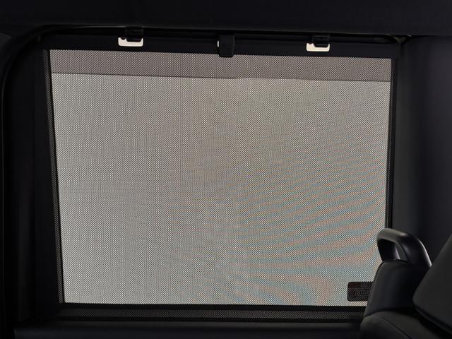 タントカスタムRS(長野県)の中古車