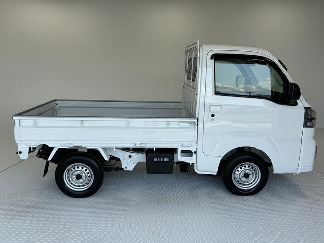 ハイゼットトラックＥＸＴ（長野県）の中古車