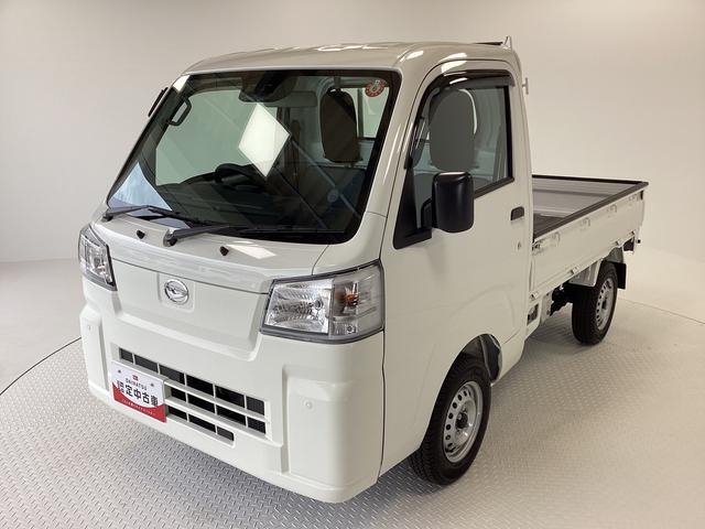 ハイゼットトラックスタンダード（長野県）の中古車