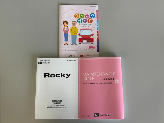 ロッキープレミアム（長野県）の中古車