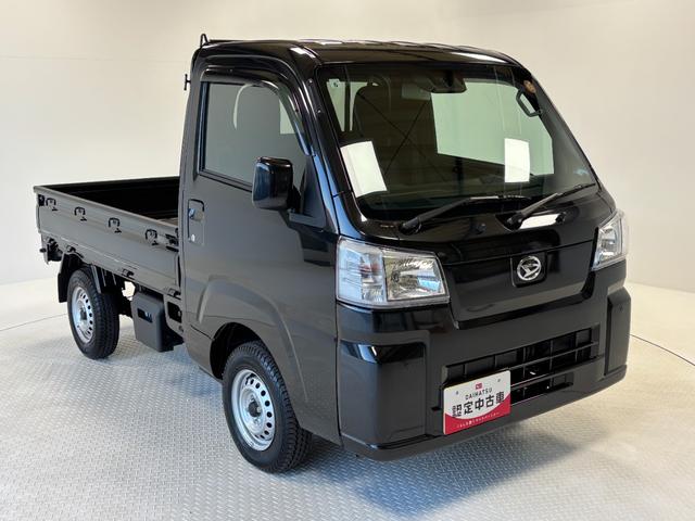 ハイゼットトラックスタンダード（長野県）の中古車