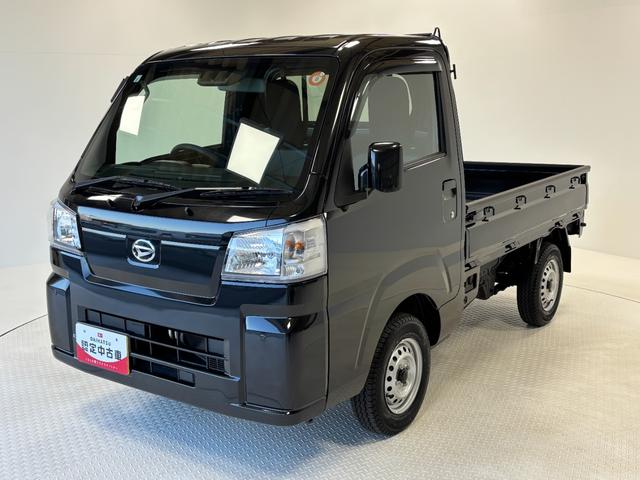 ハイゼットトラックスタンダード（長野県）の中古車