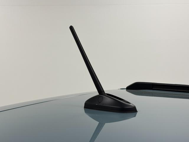 タフトＧターボ　ダーククロムベンチャーターボ　追従機能　オーディオレス　ＵＳＢソケット　スカイフィールトップ　電動パーキングブレーキ　ＬＥＤ　オートライト機能　１５インチアルミホイール　プッシュスタート　キーフリー　スマアシ（長野県）の中古車