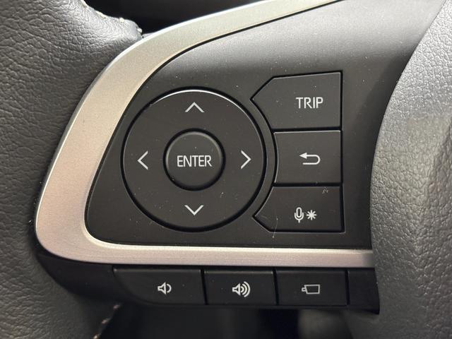 ロッキープレミアムドラレコ　追従機能　純正ナビ　全方位カメラ　Ｂｌｕｅｔｏｏｔｈ　フルセグ　ＵＳＢソケット　両側シートヒーター　ＬＥＤ　フォグランプ　オートライト　プッシュスタート　電動格納ミラー　キーフリー　衝突回避（長野県）の中古車