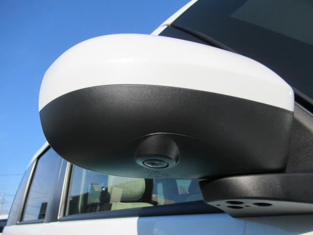 ムーヴキャンバスストライプスＧ（徳島県）の中古車