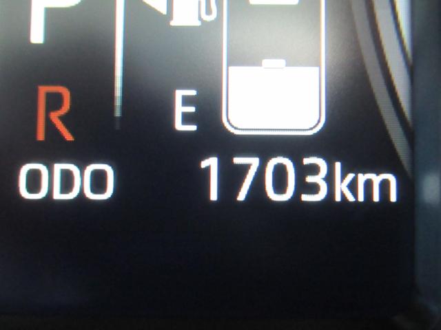 ムーヴキャンバスセオリーG(徳島県)の中古車