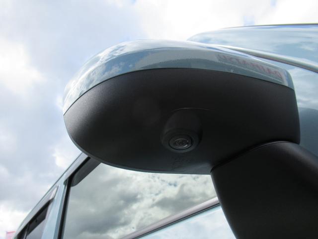 タフトG(徳島県)の中古車