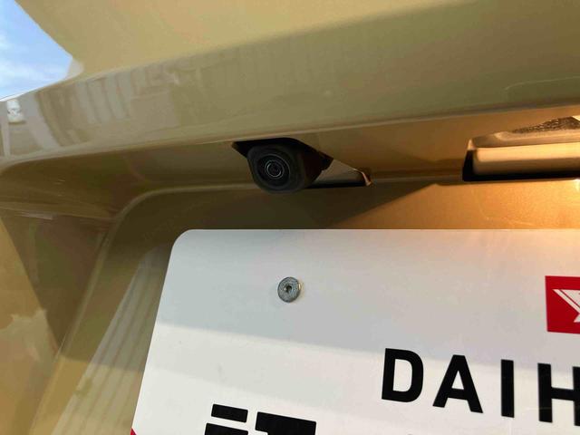 タフトＸクリアランスソナー　オートライト　ＬＥＤヘッドライト　後方カメラ　キーフリー（高知県）の中古車