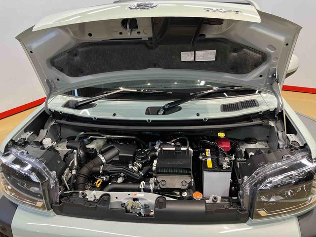 タフトＧターボ　４ＷＤ後方カメラ　前席シートヒーター　キーフリー　衝突被害軽減システム　クリアランスソナー　ＬＥＤヘッドライト　オートライト　オートハイビーム（高知県）の中古車