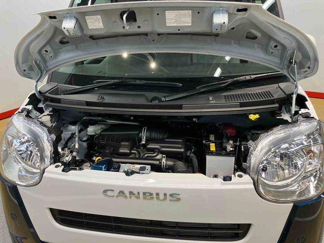 ムーヴキャンバスストライプスＸ衝突被害軽減システム　左右電動スライドドア　クリアランスソナー　オートライト　オートハイビーム　キーフリー（高知県）の中古車