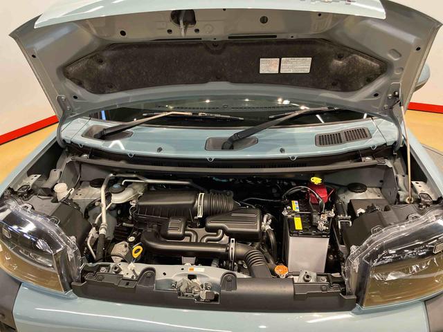 タフトＸＣＤチューナー　後方カメラ　キーフリー　衝突被害軽減システム　クリアランスソナー　ＬＥＤヘッドライト　オートライト　オートハイビーム（高知県）の中古車