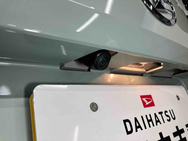 タフトＧ　ｅｃｏＩＤＬＥ非装着車後方カメラ　シートヒーター　キーフリー衝突被害軽減システム　ＬＥＤヘッドライト　オートハイビーム　オートライト　クリアランスソナー（高知県）の中古車