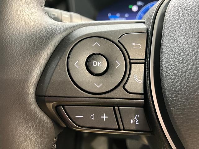 ＲＡＶ４アドベンチャー純正ナビ　パノラミックビューモニター　デジタルインナーミラー　ステアリングヒーター　シートベンチレーター　ＡＣ１００Ｖアクセサリーコンセント　電動パーキングブレーキ　パノラマムーンルーフ（愛媛県）の中古車