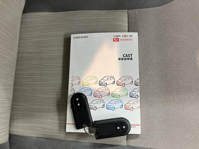 キャストスタイルＸ　ＳＡIII純正ナビ　バックカメラ　フルセグＴＶ　ＣＤ　ＤＶＤ　ＵＳＢ　Ｂｌｕｅｔｏｏｔｈ　ドライブレコーダー　オートライト　プッシュスタート　アイドリングストップ　電動格納ドアミラー　キーフリーシステム（愛媛県）の中古車
