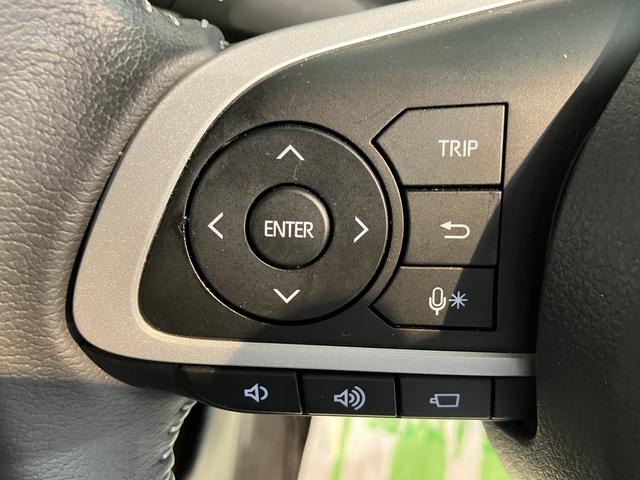 ロッキープレミアム純正ナビ　パノラマモニター　地上デジタルＴＶ　ＣＤ　ＤＶＤ　Ｂｌｕｅｔｏｏｔｈ　ＵＳＢ　プッシュスタート　前席シートヒーター　クルーズコントロール　ＬＥＤヘッドライト　オートライト　スマートアシスト（愛媛県）の中古車