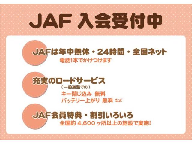 基本購入パックB