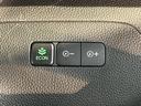 純正ナビ　バックモニター　フルセグＴＶ　ＣＤ　ＤＶＤ　ＵＳＢ　Ｂｌｕｅｔｏｏｔｈ　ドラレコ　ＥＴＣ　左側電動スライドドア　プッシュスタート　クルーズコントロール　オートライト　ＬＥＤヘッドライト（愛媛県）の中古車
