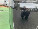 （千葉県）の中古車