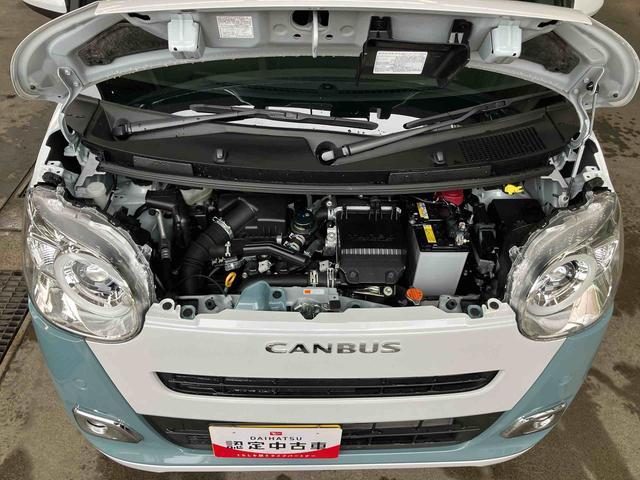 ムーヴキャンバスストライプスＧターボ両側電動スライドドア　ＬＥＤヘッドライト＆フォグランプ　シートヒーター　保温カップホルダー　電動駐車ブレーキ　バックカメラ　ステアリングスイッチ　自動追従クルコン　衝突被害軽減ブレーキ（千葉県）の中古車