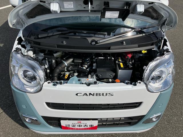 ムーヴキャンバスストライプスＧターボ両側電動スライドドア　ＬＥＤヘッドライト＆フォグランプ　シートヒーター　保温カップホルダー　電動駐車ブレーキ　バックカメラ　ステアリングスイッチ　自動追従クルコン　衝突被害軽減ブレーキ（千葉県）の中古車