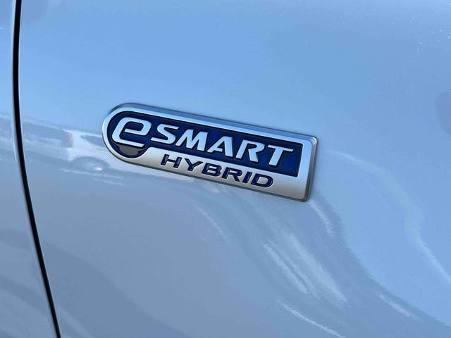 ロッキープレミアムＧ　ＨＥＶ衝突回避支援システム／横滑り防止装置／コーナーセンサー／オートエアコン／プッシュボタンエンジンスターター／アダプティブドライビングビーム／ＬＥＤヘッドライト／電動格納ドアミラー／オートライト（千葉県）の中古車