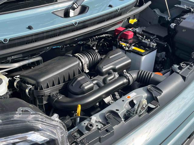 タフトGLEDヘッドライト/スカイフィールトップ/アダプティブクルーズコントロール/プッシュボタンエンジンスターター/アイドリングストップ/オートライト/コーナーセンサー/衝突回避支援システム/オートエアコン(千葉県)の中古車