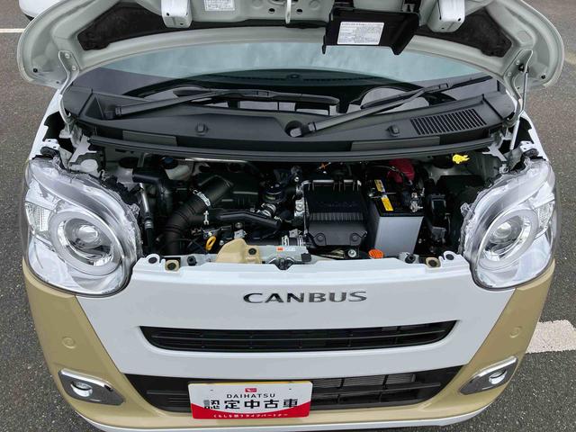 ムーヴキャンバスストライプスＧターボ両側電動スライドドア　ＬＥＤヘッドライト＆フォグランプ　シートヒーター　保温カップホルダー　電動駐車ブレーキ　バックカメラ　ステアリングスイッチ　自動追従クルコン　衝突被害軽減ブレーキ（千葉県）の中古車