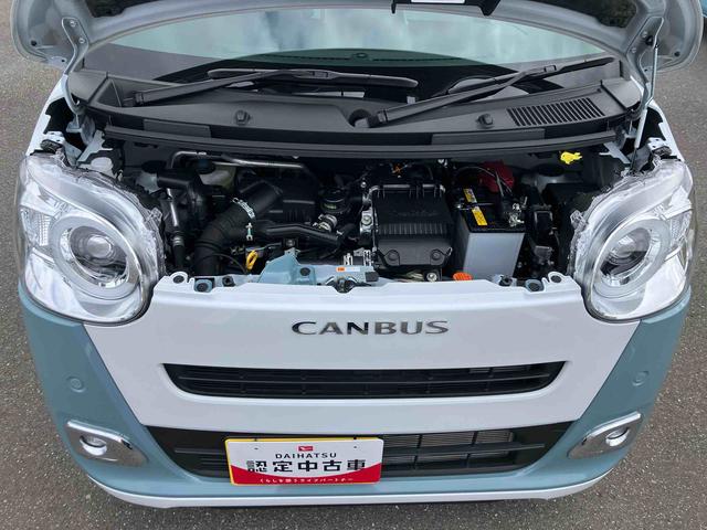 ムーヴキャンバスストライプスGターボ両側電動スライドドア LEDヘッドライト&フォグランプ シートヒーター 保温カップホルダー 電動駐車ブレーキ バックカメラ ステアリングスイッチ 自動追従クルコン 衝突被害軽減ブレーキ(千葉県)の中古車
