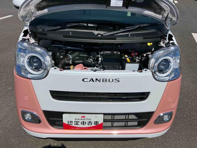 ムーヴキャンバスストライプスＧターボ両側電動スライドドア　ＬＥＤヘッドライト＆フォグランプ　シートヒーター　保温カップホルダー　電動駐車ブレーキ　バックカメラ　ステアリングスイッチ　自動追従クルコン　衝突被害軽減ブレーキ（千葉県）の中古車