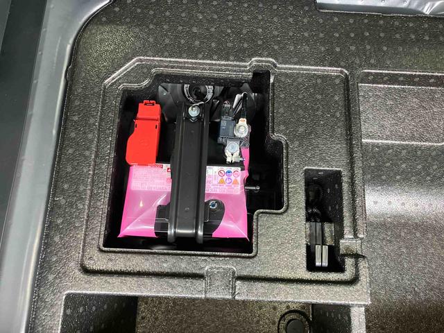ロッキープレミアムＧ　ＨＥＶバックカメラ　アダプティブクルコン　ＬＥＤヘッドライト＆フォグランプ　バックフォグランプ　１７インチアルミホイール　シートヒーター　電動駐車ブレーキ　コーナーセンサー　衝突被害軽減ブレーキ（千葉県）の中古車