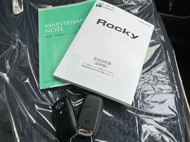 ロッキープレミアムＧ（沖縄県）の中古車