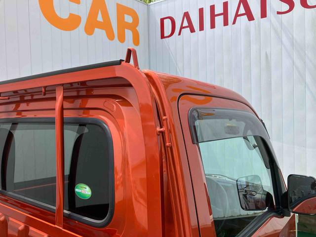 ハイゼットトラックスタンダードSAIIIt(沖縄県)の中古車