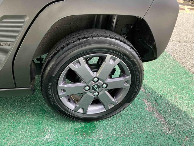 タフトＧ　ダーククロムベンチャー（沖縄県）の中古車