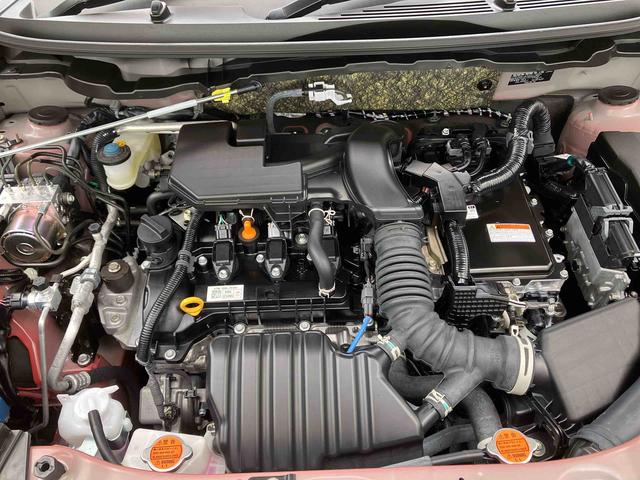 ロッキープレミアムＧ　ＨＥＶ（沖縄県）の中古車