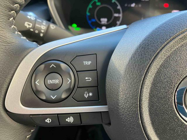 ロッキープレミアムＧ　ＨＥＶオートエアコン　衝突回避支援システム　コーナーセンサー　キーフリーシステム　プッシュボタンスタート　ＬＥＤヘッドランプ（沖縄県）の中古車