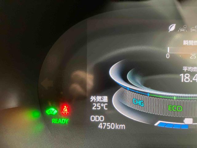 ロッキープレミアムＧ　ＨＥＶ（沖縄県）の中古車