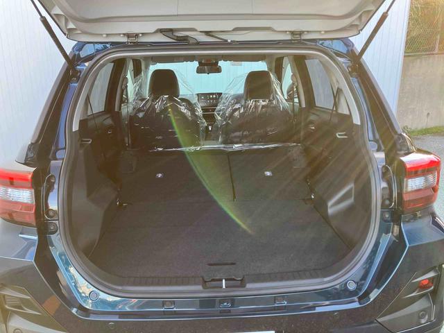 ロッキープレミアムＧ　ＨＥＶオートエアコン　衝突回避支援システム　コーナーセンサー　キーフリーシステム　プッシュボタンスタート　ＬＥＤヘッドランプ（沖縄県）の中古車