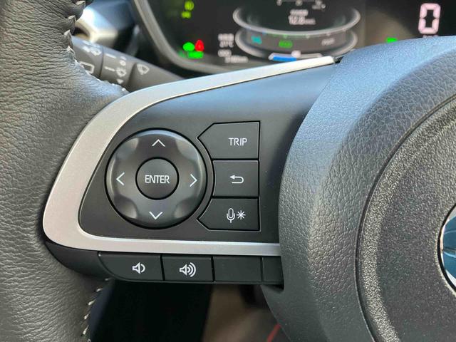 ロッキープレミアムＧ　ＨＥＶオートエアコン　衝突回避支援システム　コーナーセンサー　キーフリーシステム　プッシュボタンスタート　ＬＥＤヘッドランプ（沖縄県）の中古車