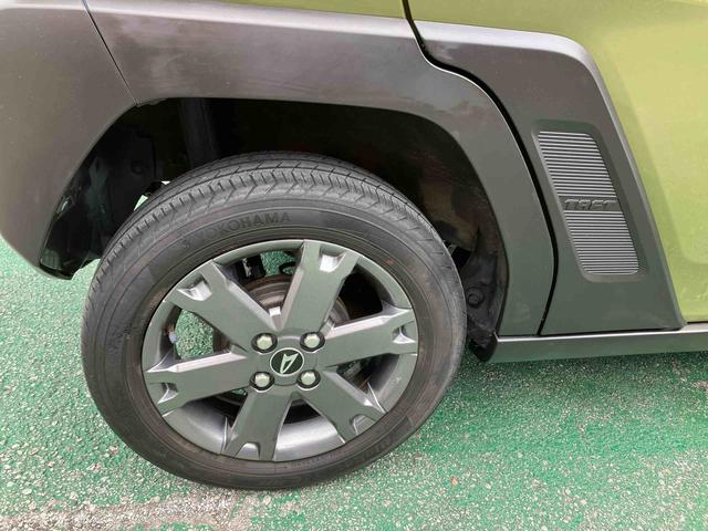 タフトＧターボ（沖縄県）の中古車