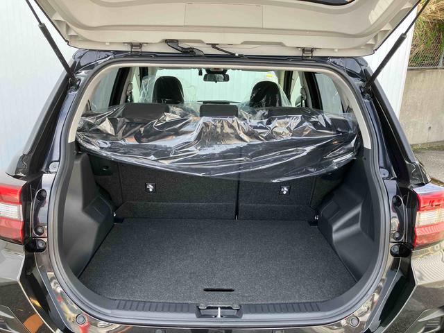 ロッキーＸ（沖縄県）の中古車