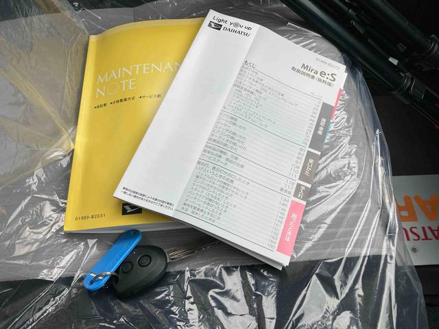 ミライースＬ（沖縄県）の中古車