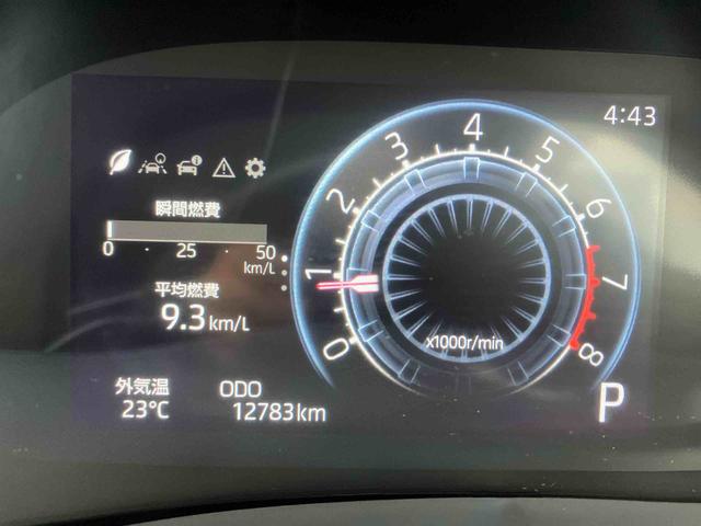 ロッキープレミアム（沖縄県）の中古車