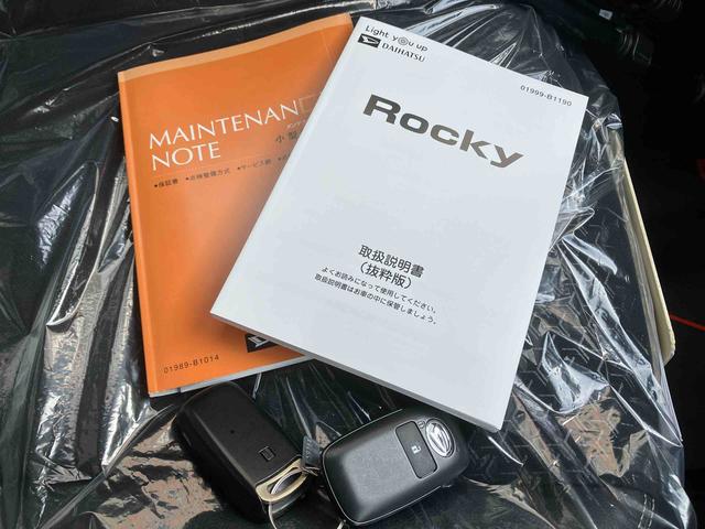 ロッキープレミアム（沖縄県）の中古車