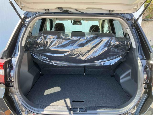 ロッキーＧ（沖縄県）の中古車