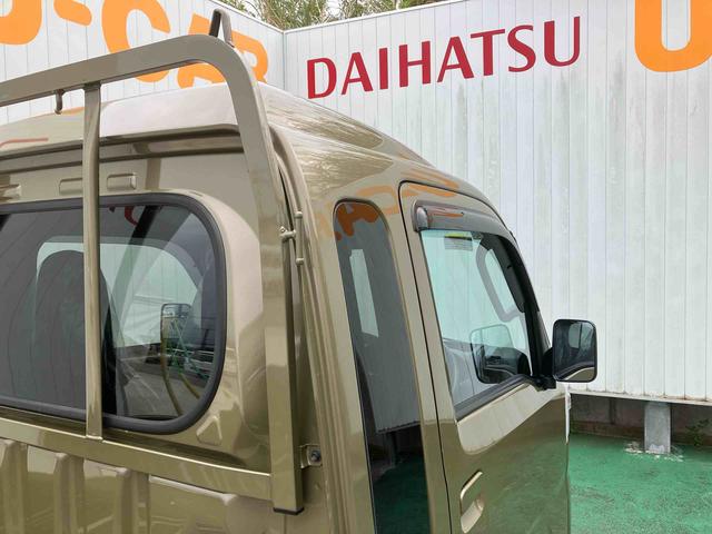 ハイゼットトラックジャンボスタンダード（沖縄県）の中古車