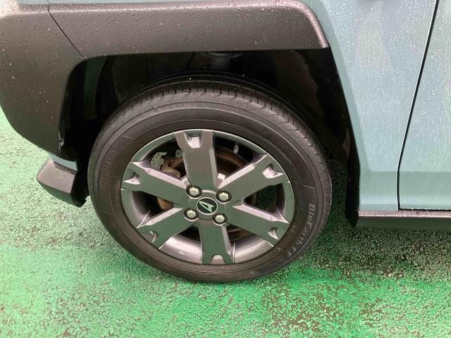 タフトＧターボ（沖縄県）の中古車