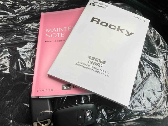 ロッキープレミアム（沖縄県）の中古車